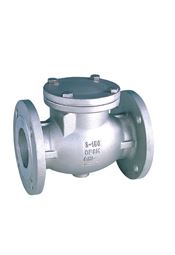 SS Check Valve